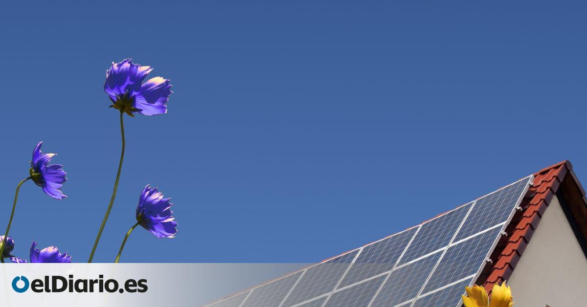 Competencia calcula que las ayudas al autoconsumo han podido cubrir “más del 90% del coste” para algunos hogares