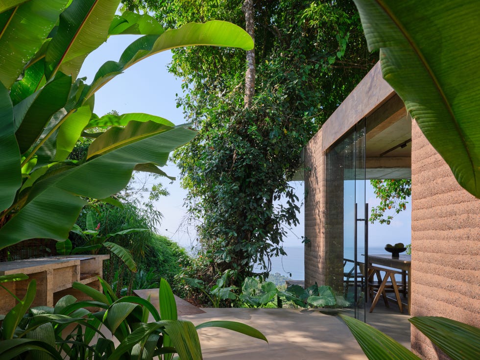 arquitecta diseno su casa en la naturaleza studio house es una vivienda sencilla en la que conviven arquitectura y paisaje