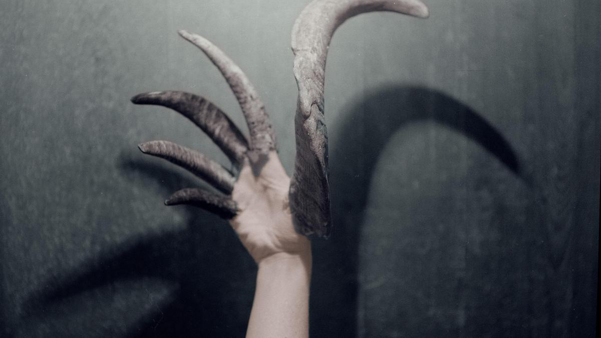 Una de las fotografías de Tomeu Coll que se expondrá en China