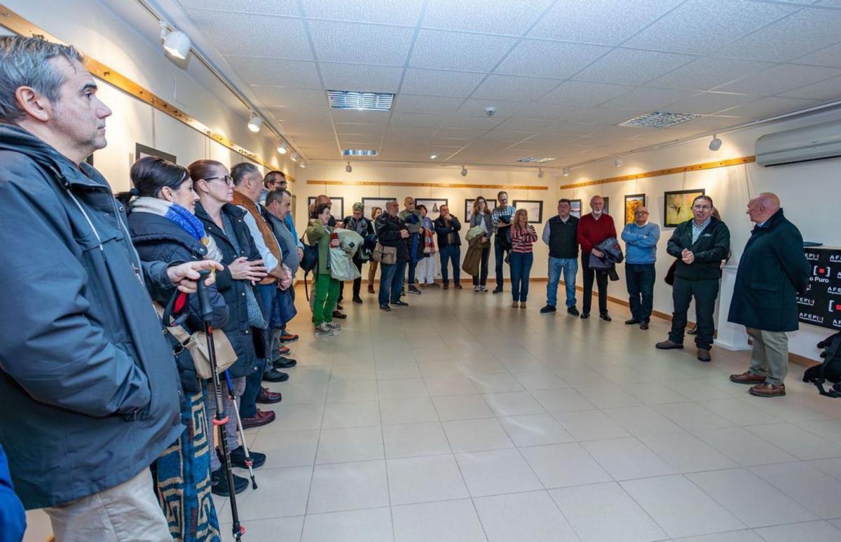 Inauguración de la exposición «Pinceladas».