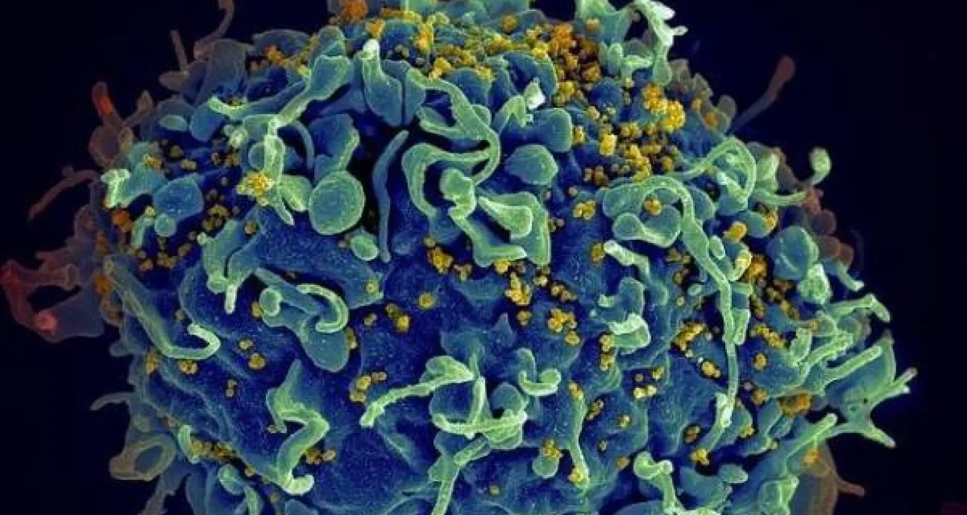 podría provocar la "peor temporada en una década"