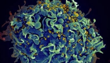 podría provocar la "peor temporada en una década"