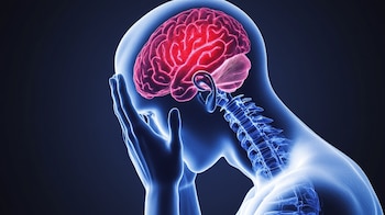 La sensibilidad a estímulos como