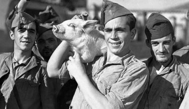 El Archivo del Photo Club, sobre el que la Diputación de Burgos acaba de editar un libro, es oro