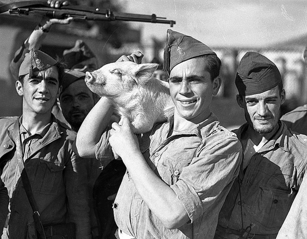 El Archivo del Photo Club, sobre el que la Diputación de Burgos acaba de editar un libro, es oro