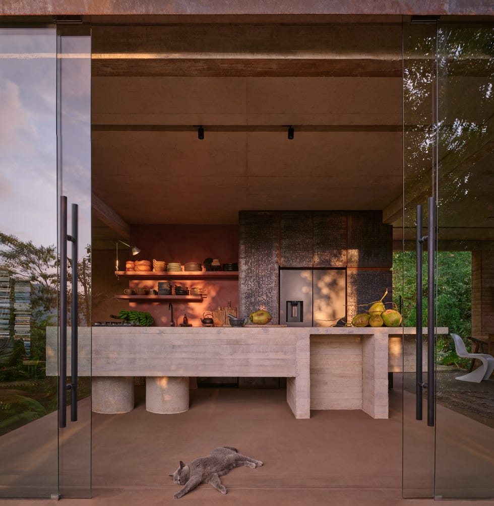 arquitecta diseno su casa en la naturaleza studio house es una vivienda sencilla en la que conviven arquitectura y paisaje