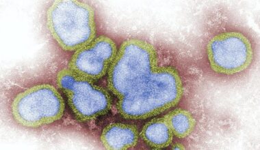 Europa urge a vacunar sin demora contra la gripe por la rápida expansión de la variante K