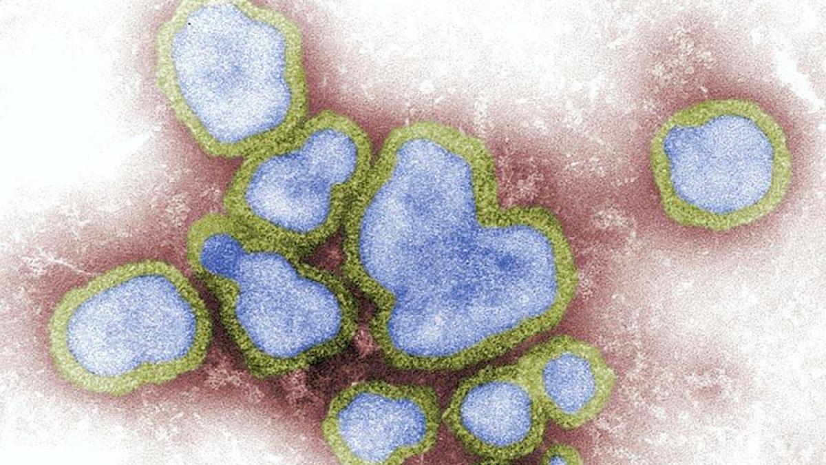 Europa urge a vacunar sin demora contra la gripe por la rápida expansión de la variante K