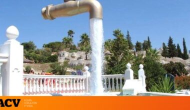 un grifo que 'enfrenta' los principios de la física