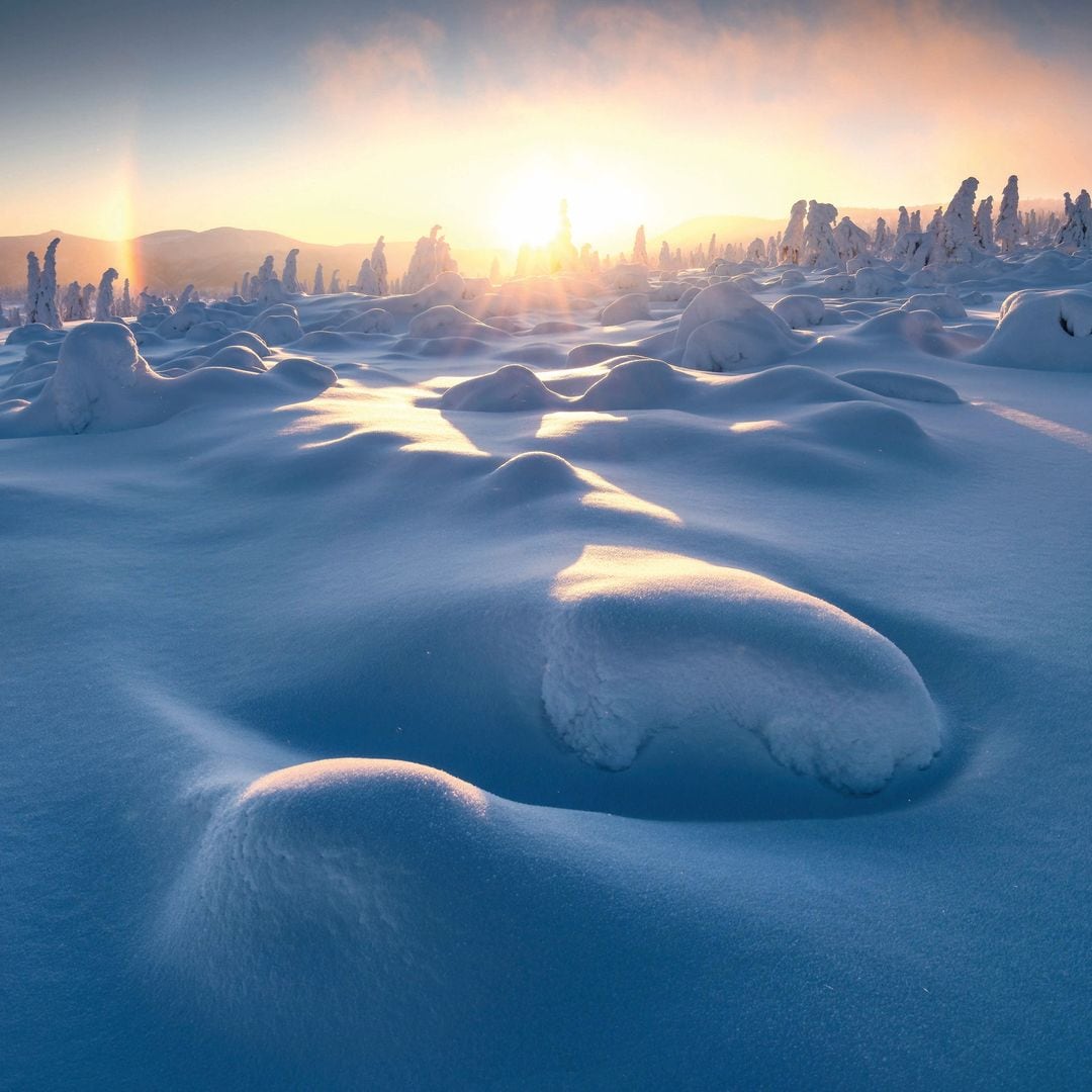 Amanecer en un paisaje nevado con árboles cubiertos de nieve