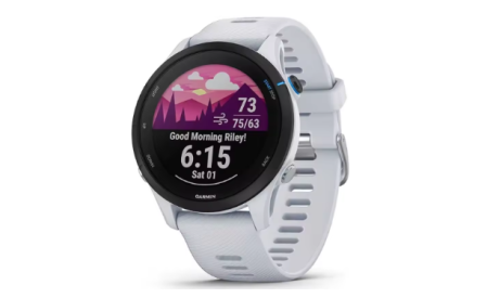Garmin Forerunner 255