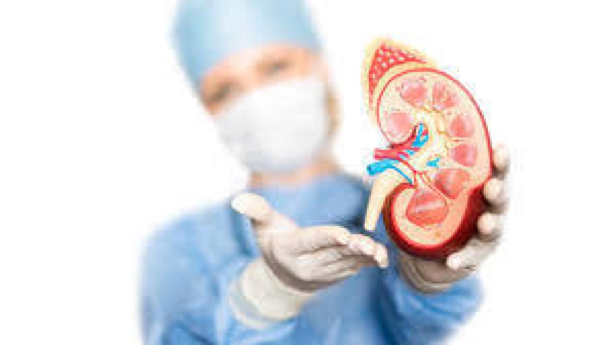 La enfermedad renal crónica es la novena causa principal de muerte en el mundo