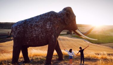 Una de las fotografías presentadas al concurso.