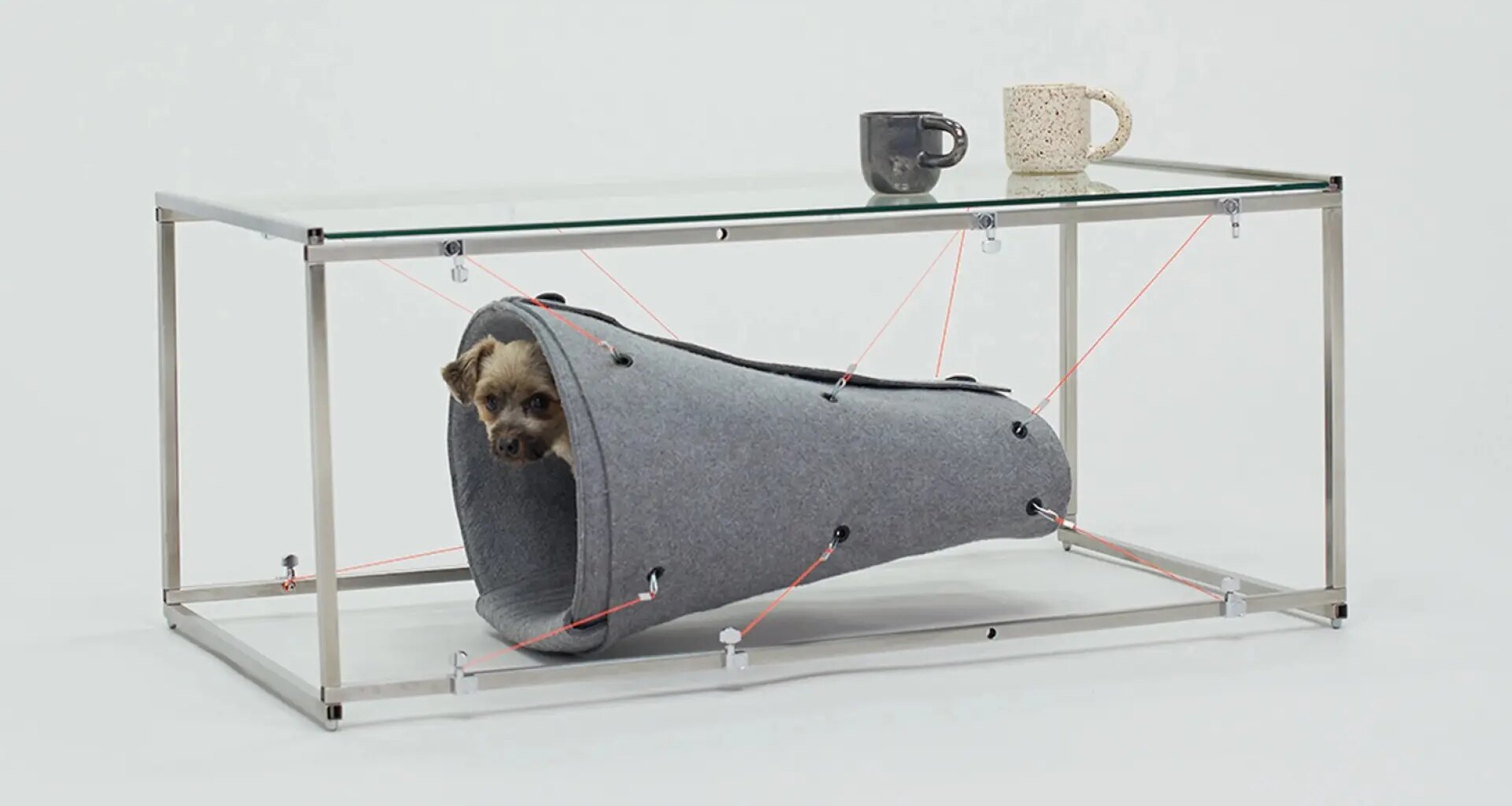 el nuevo diseño doméstico que piensa en humanos y animales