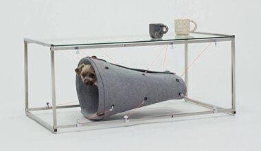 el nuevo diseño doméstico que piensa en humanos y animales