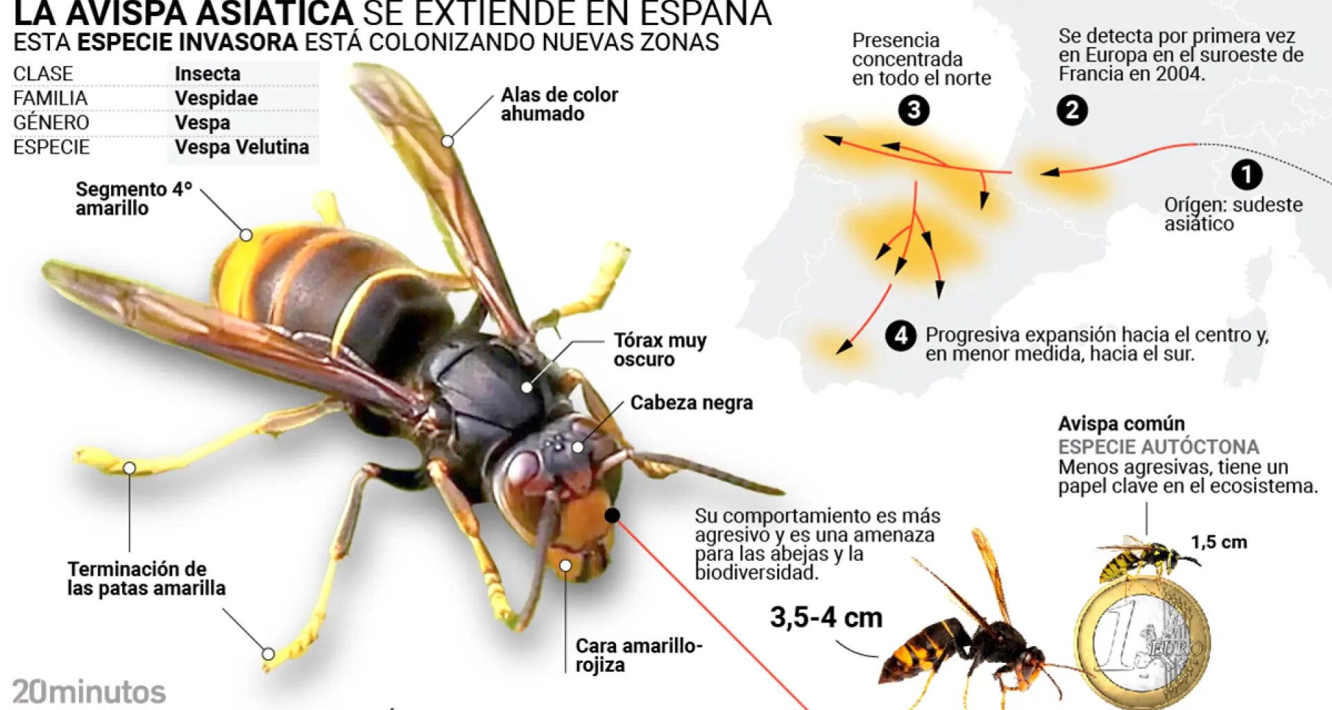 publican la guía definitiva para controlar su avance en toda España