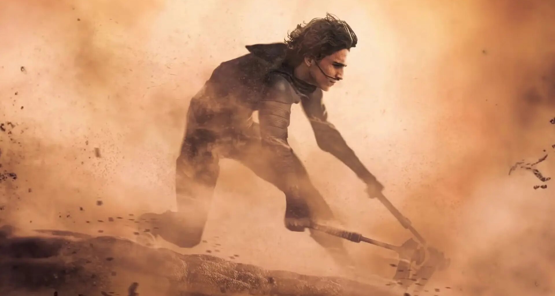 Timothée Chalamet tiene buenas noticias para los fans