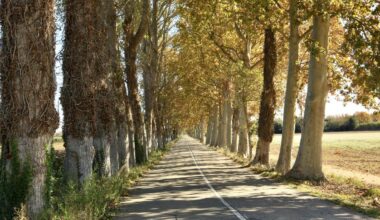Carretera al otoño en Torroella de Montgrí
