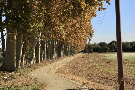 Otoño en Torroella de Montgrí.