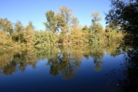 Otoño en Torroella de Montgrí.