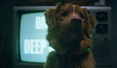 Filmin pone fecha a la llegada de la película de terror que arrasó este año con su punto de vista perruno