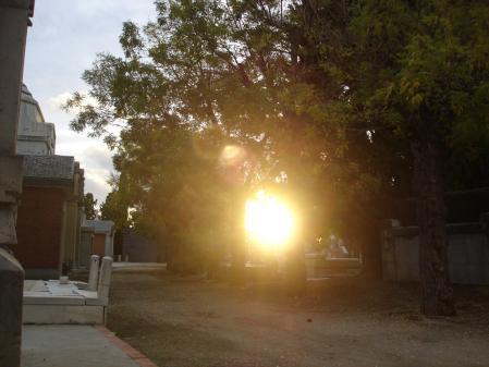 Día de los Difuntos en el cementerio de la Almudena.