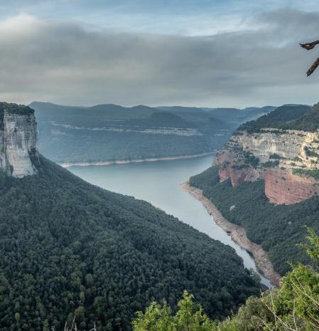 Otoño en el Morro de l'Abella.