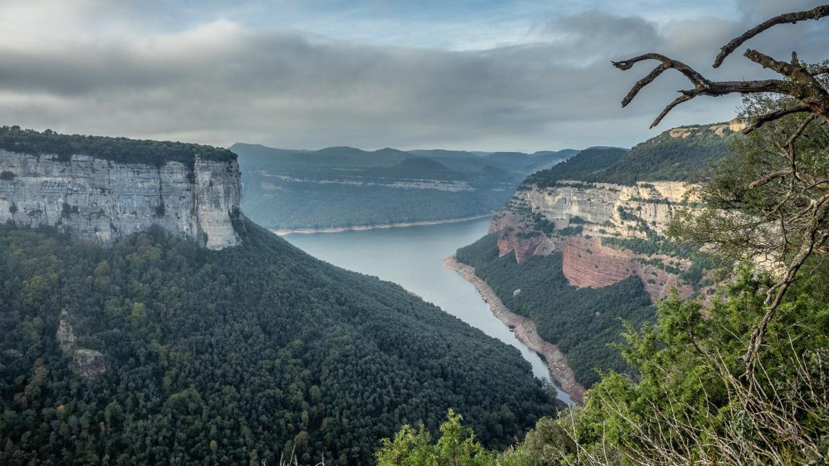 El fascinante otoño del Morro de l'Abella