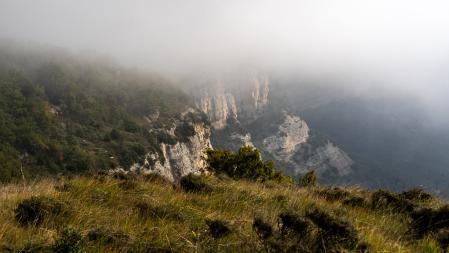 Otoño en el Morro de l'Abella.