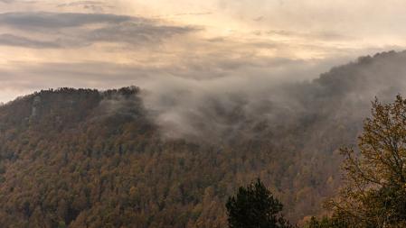 Espectáculo natural del otoño visto desde el Coll de Bracons.