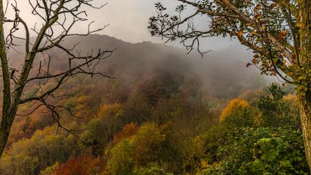 Espectáculo natural del otoño visto desde el Coll de Bracons.