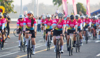 balance de su impacto económico y digital