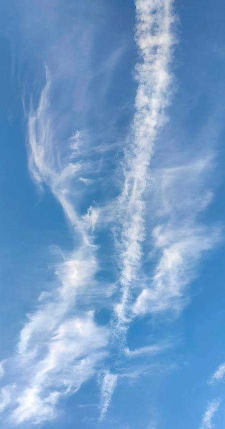 El esqueleto de la nube.