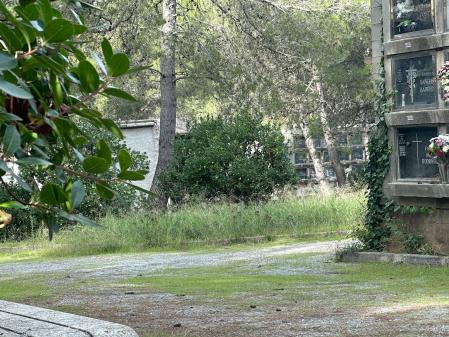 Deterioro del cementerio de Collserola.