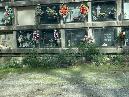 Deterioro del cementerio de Collserola.