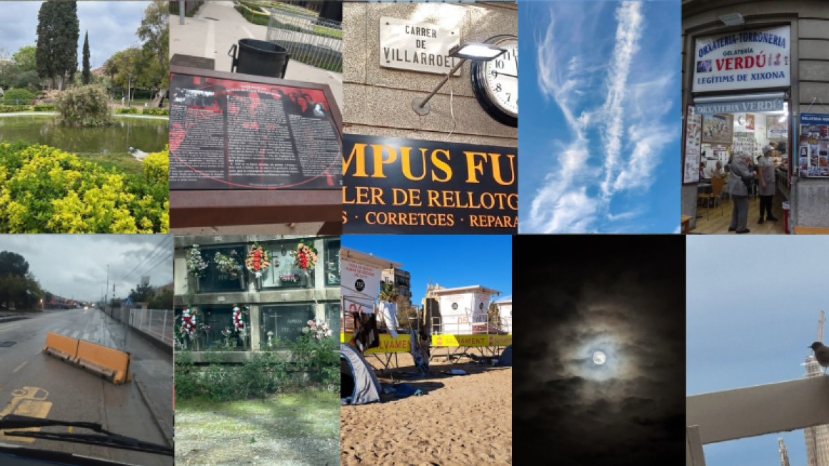 De la escultura invisible al pájaro de Gaudí