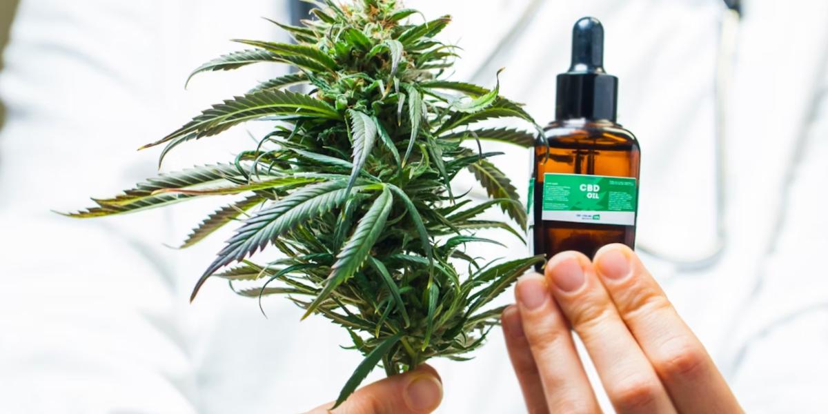 ¿qué se sabe y qué no?