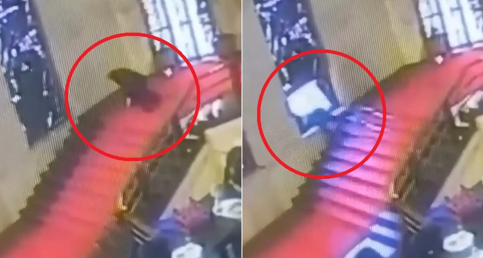 Un político italiano tropieza en una escalera y atraviesa una vidriera en un palacio en Roma