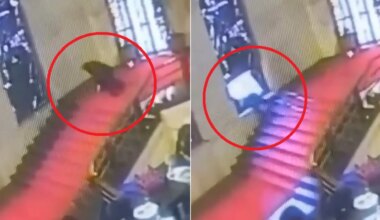 Un político italiano tropieza en una escalera y atraviesa una vidriera en un palacio en Roma