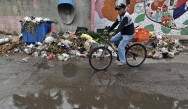 Cuba encara un brote de dengue y chikunguña con 47.125 ingresados y esfuerzos "insuficientes"