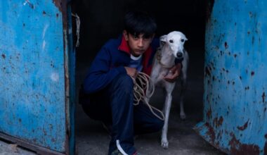 La Cañada Real madrileña encuentra su luz en ‘Ciudad sin sueño’