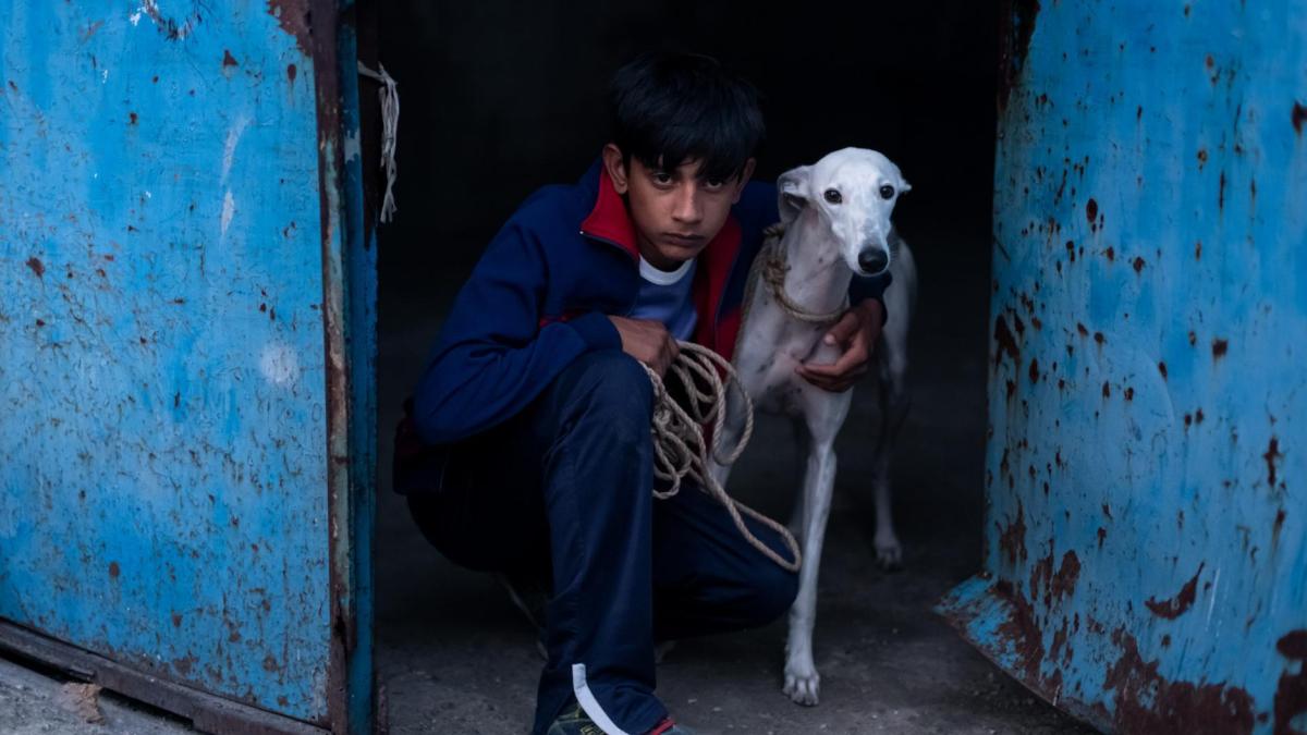 La Cañada Real madrileña encuentra su luz en ‘Ciudad sin sueño’
