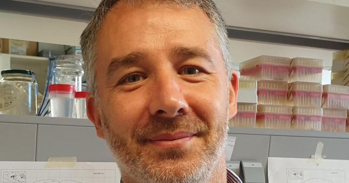 el CiMUS, financiado con casi un millón para combatir el cáncer