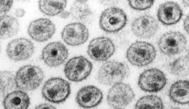 El proyecto en lo que colabora Anna Rull (IISPV) investiga los mecanismos que permiten a un pequeño grupo de pacientes controlar el VIH sin tratamiento