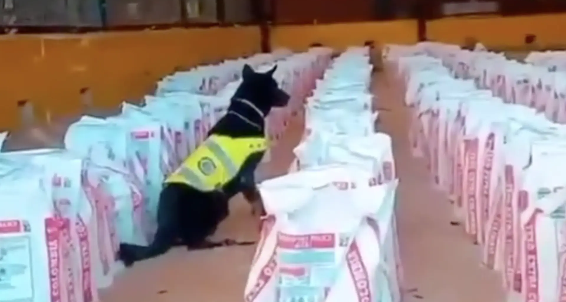 Incautan catorce toneladas de cocaína en el principal puerto de Colombia en el Pacífico: "Sin un solo muerto"