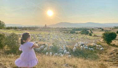 Estas son las 15 fotos finalistas del concurso 'Mi Verano en Soria'