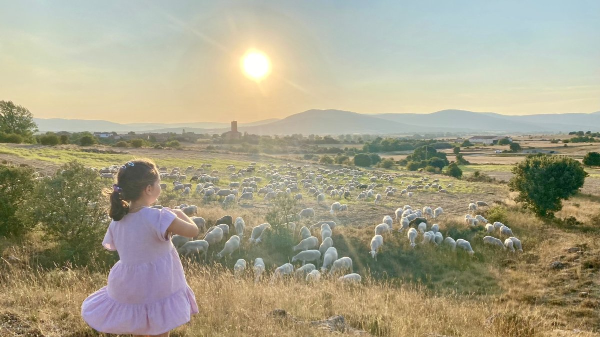 Estas son las 15 fotos finalistas del concurso 'Mi Verano en Soria'