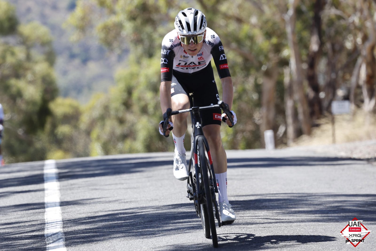 Pablo Torres compitiendo en el Tour Down Under