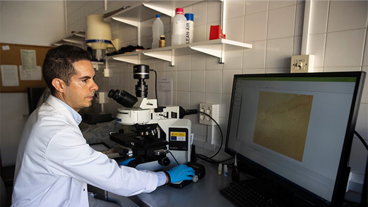 Fotografía facilitada por la Universidad de Málaga de uno de los investigadores del estudio.