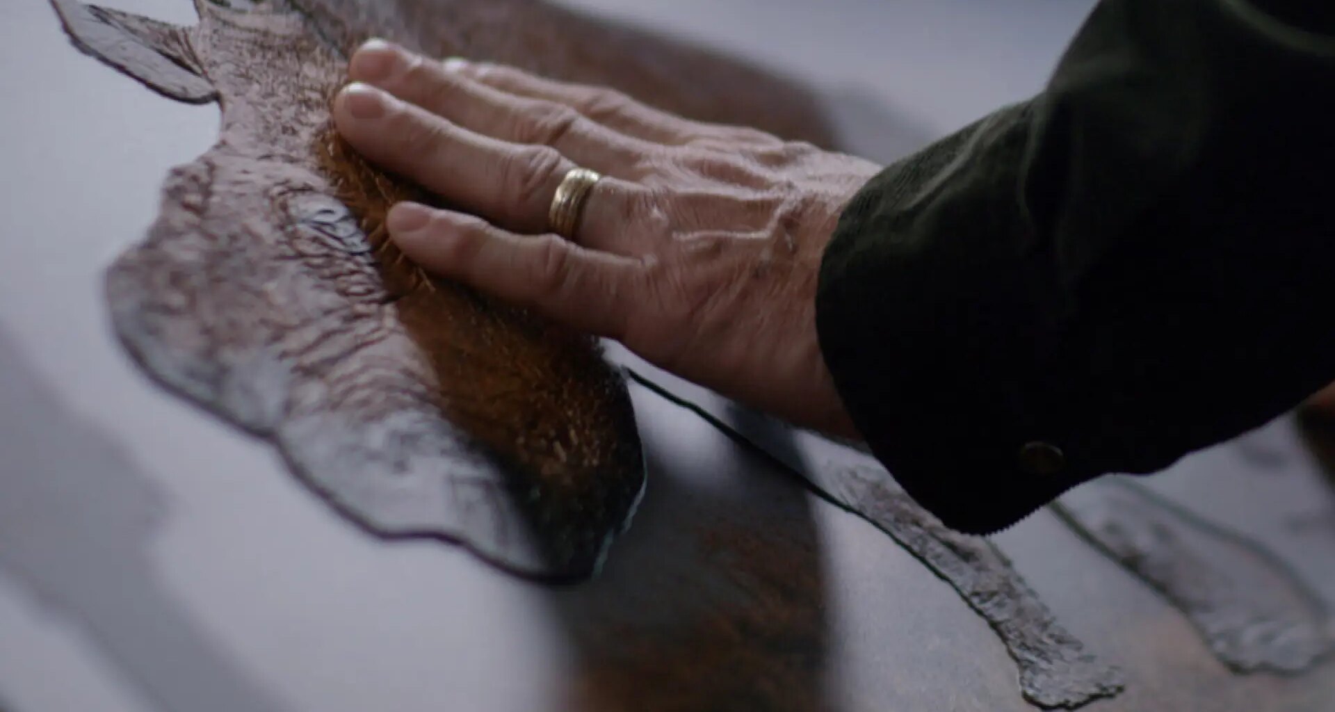 Accesibilidad y emociones: la llave para conectar con la dignidad